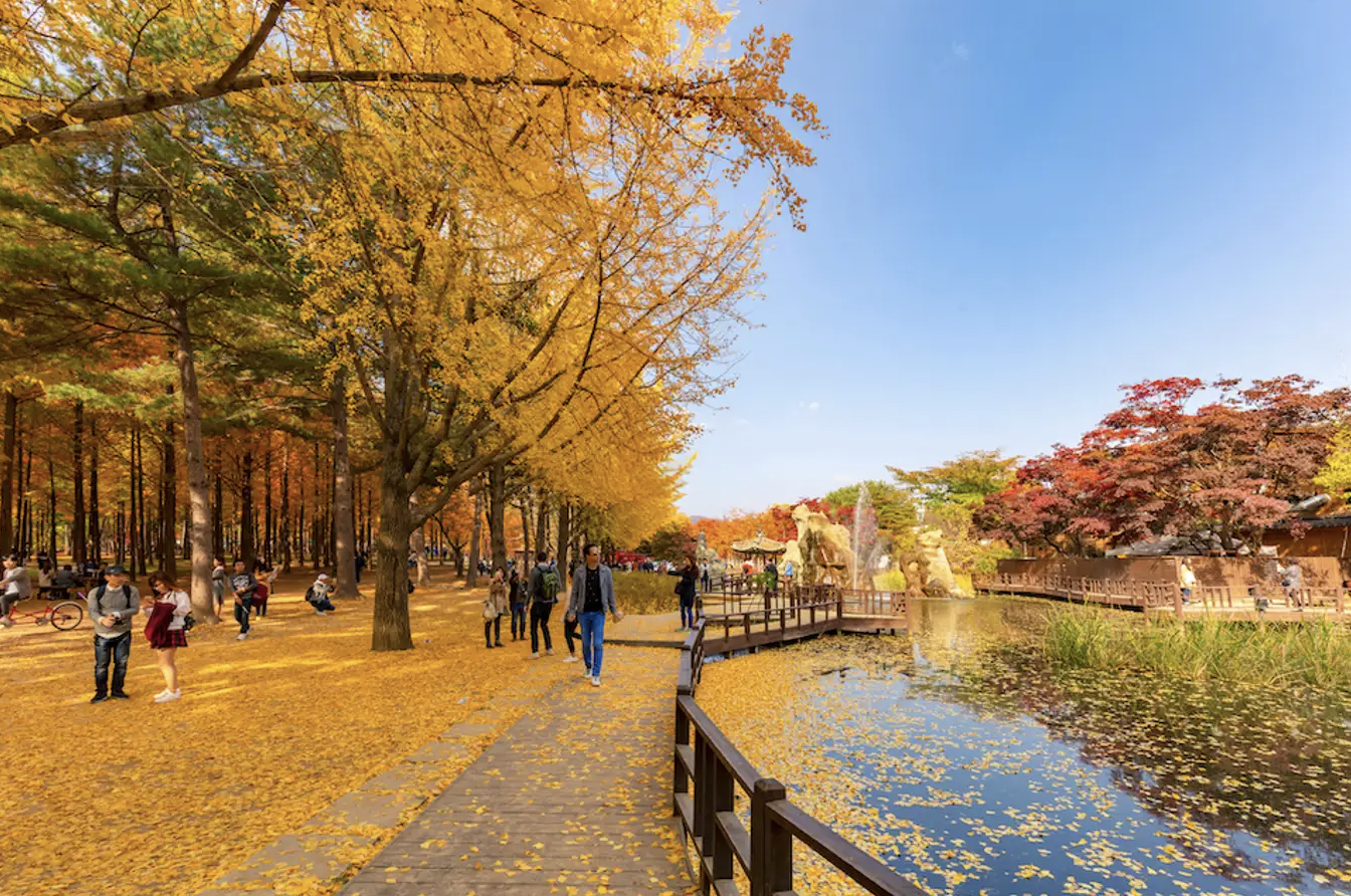 DU LỊCH HÀN QUỐC 2024 [SEOUL- NAMI – LOTTE WORLD-TRƯỢT TUYẾT]